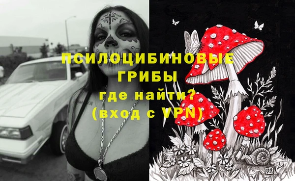 apvp Тавда