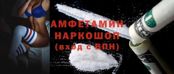 прущие грибы Томск