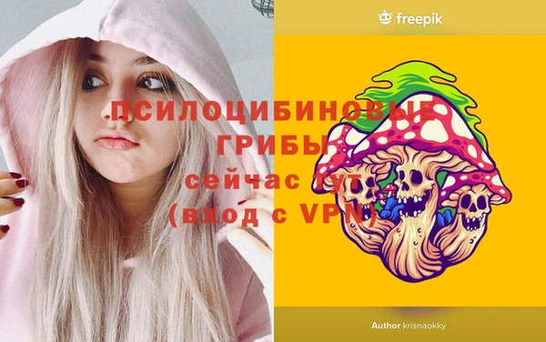 apvp Тавда