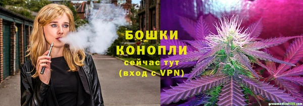 крисы Оренбург