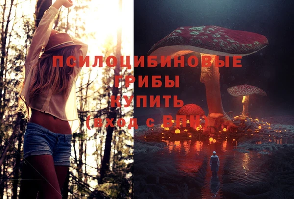 крисы Оренбург